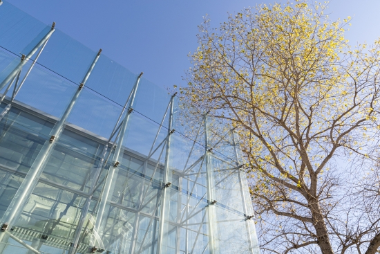 Compartimos nuestro primer reporte de sostenibilidad